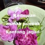 Keilmuan kerejekian asmak puncak kantong jagad